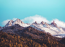 【观察】“多才多艺”的施洛特贝克，多特蒙德重建基石